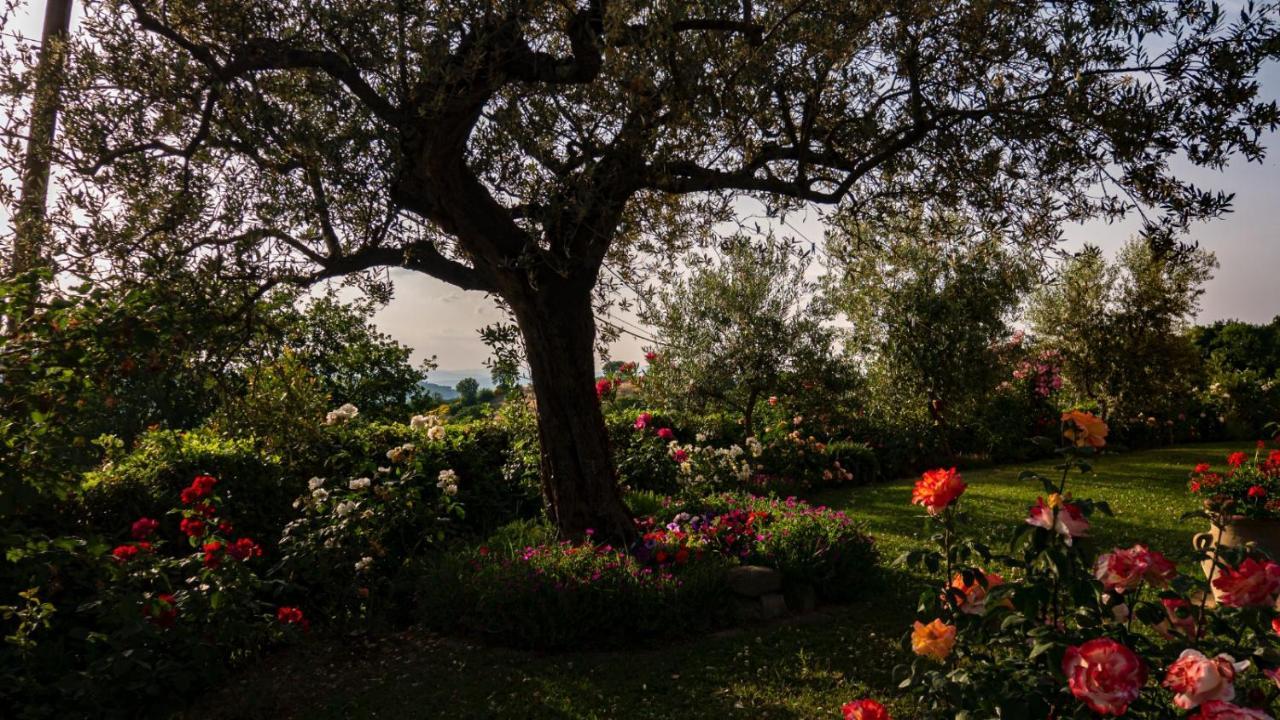 Il Casale Di Fiore Cannara Kültér fotó
