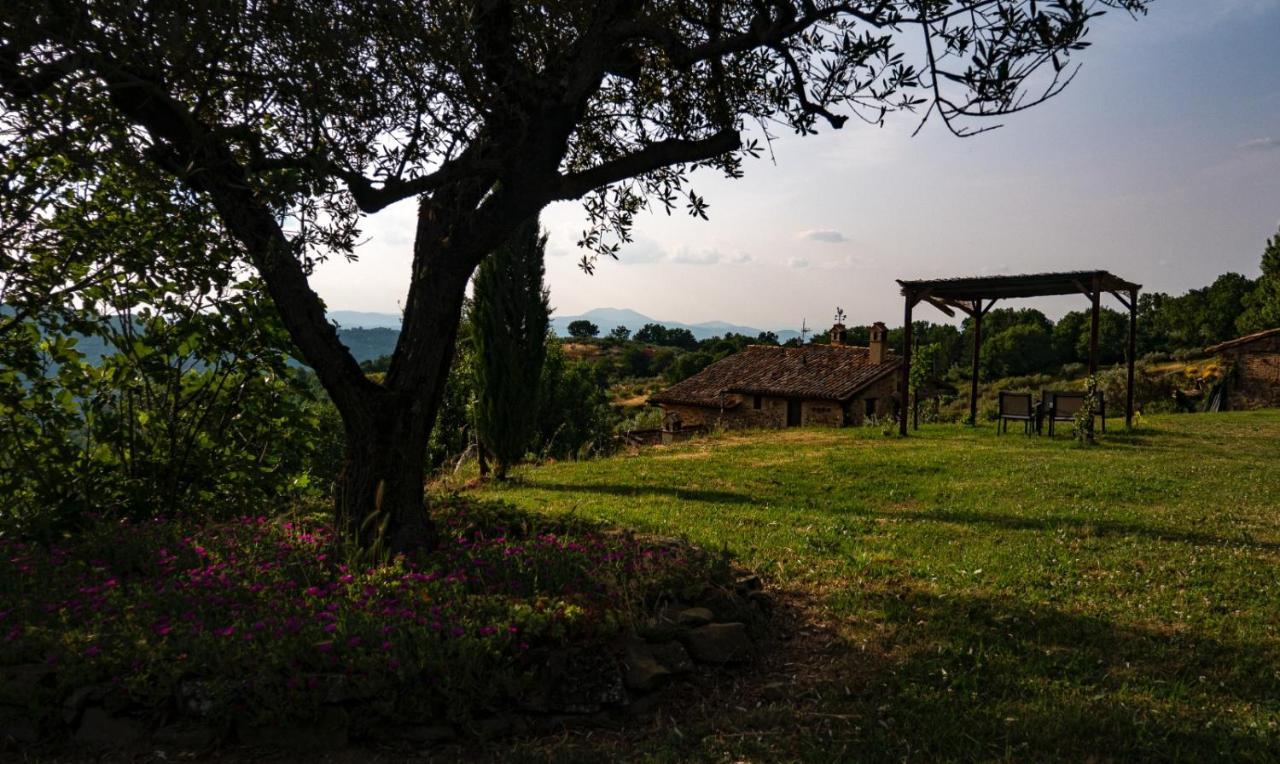 Il Casale Di Fiore Cannara Kültér fotó