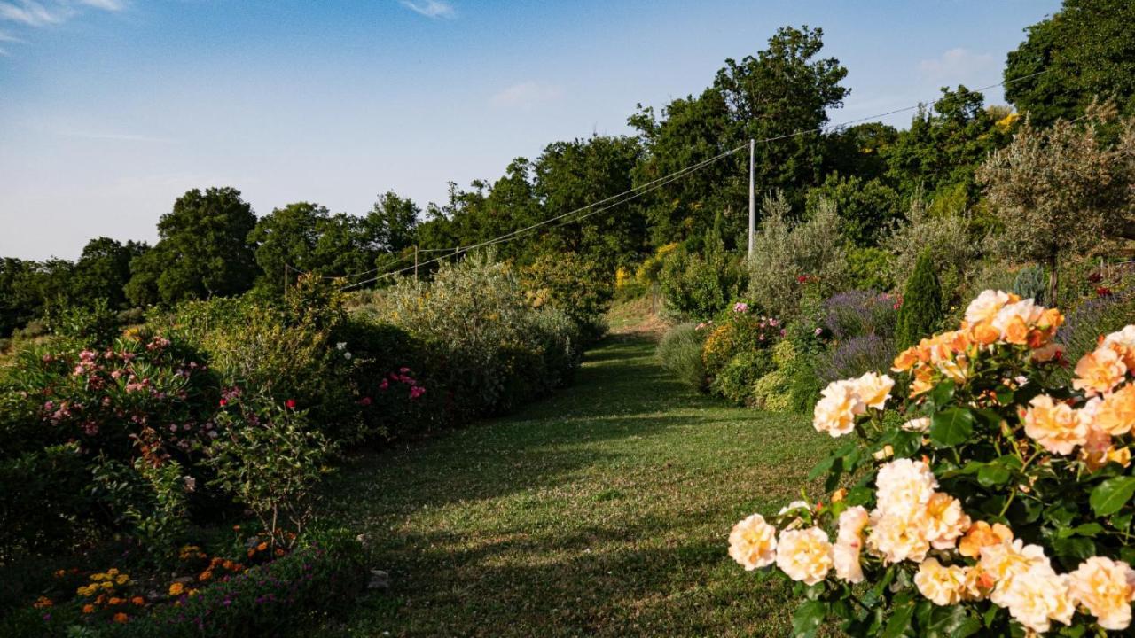 Il Casale Di Fiore Cannara Kültér fotó