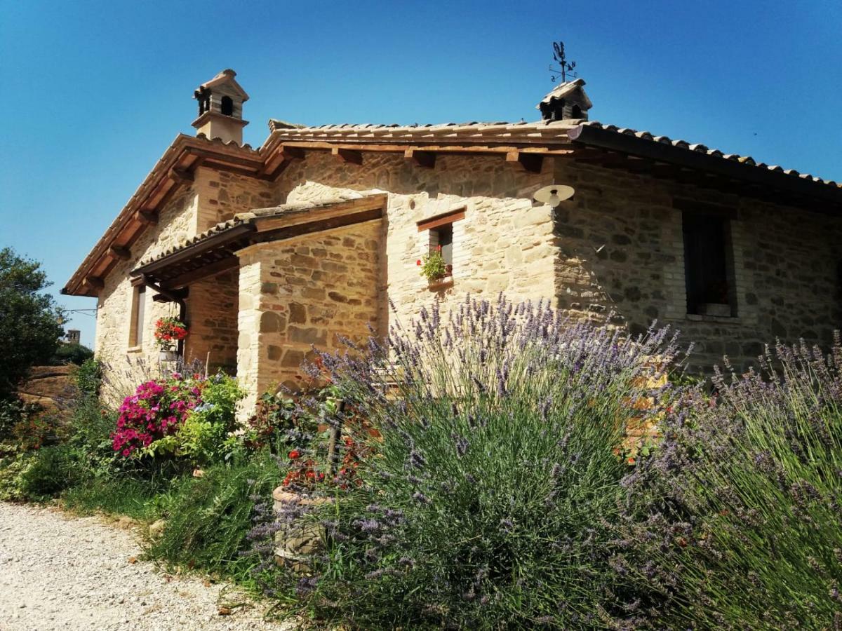 Il Casale Di Fiore Cannara Kültér fotó